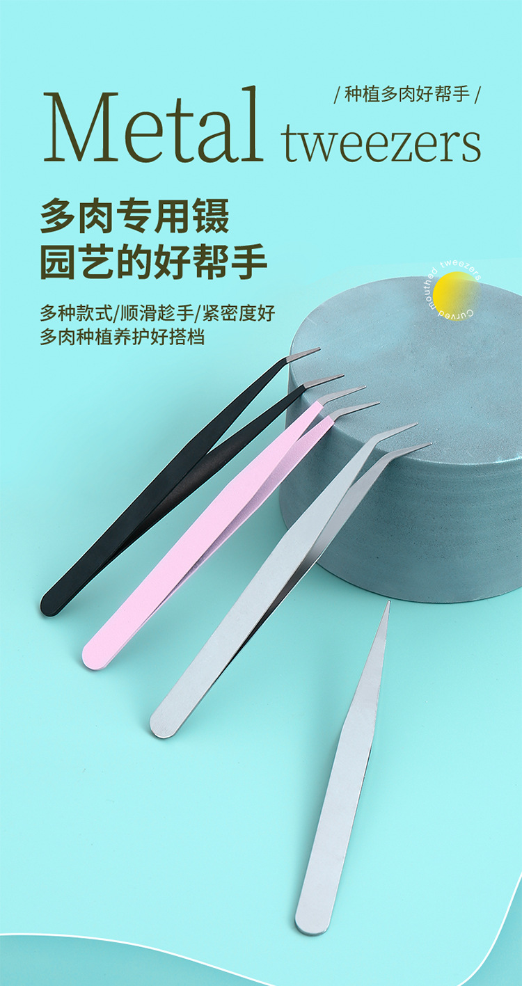 240202多肉镊子_01.jpg