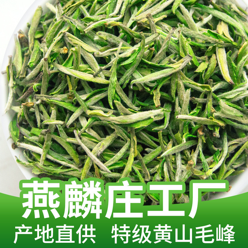 黄山毛峰新茶緑茶太平侯貴祁門紅茶フレグランスオーガニック|undefined