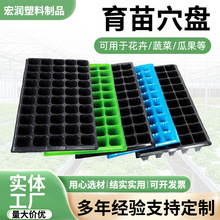 穴盘育苗盘瓜果蔬菜多肉幼苗培育器塑料秧盘营养钵50穴育苗盆