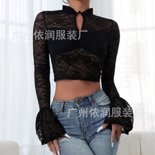 2024ﶬ`W羳Ըٽz͸ҕrL¶̿