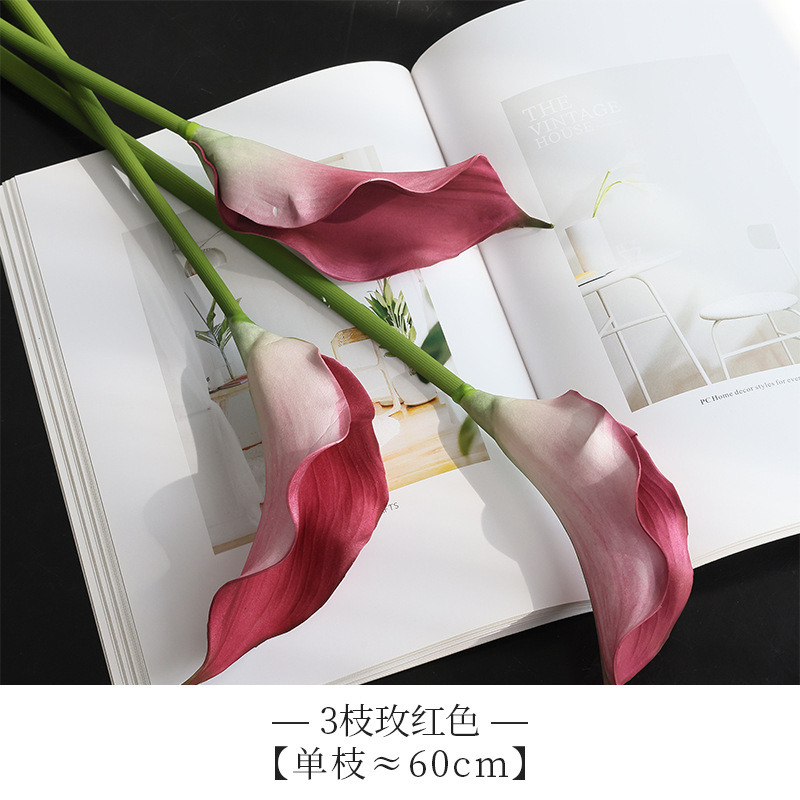 -로즈 레드 단일 지점