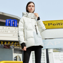 ��q��Ů2025�궬���¿�̿�С���ӼӺ�ӽq�����q�Bñ�Ӻ������