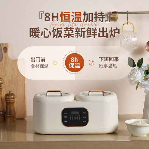 Dual-basin electric rice cooker, multifunctional mini rice cooker, couple hot pot, steaming, intelligent reservation, keeping warm, new model, wholesale