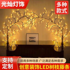 藤条灯柳枝LED灯跨境专供爆款日常节日情人节卧室调光床头背景墙