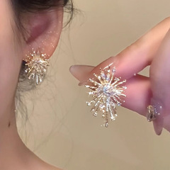 2025年の新型フラッシュドリルの花火のイヤリングの女性の軽豪華な気質の高級感のピアスの大衆の独特な秋冬のイヤリングのアクセサリー