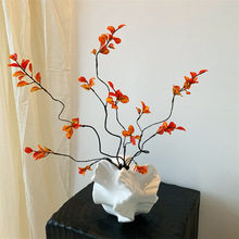 С֦~֦٘ҾӾƵʽb廨Gֲ[