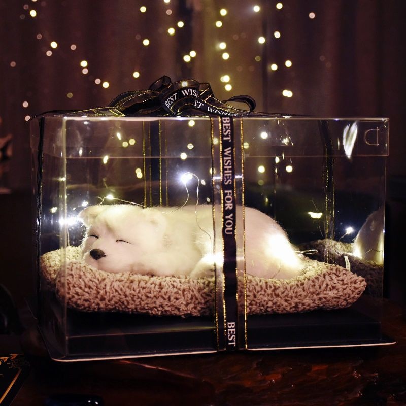 Llamará juguetes de simulación adornos de carbón de bambú modelo de gato adornos juguetes de peluche muñeca caja de regalo de cumpleaños