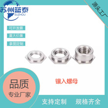 �����ơ���������304�������ƽ��ĸǶ��ʽ������ĸFS-F-256M4M6