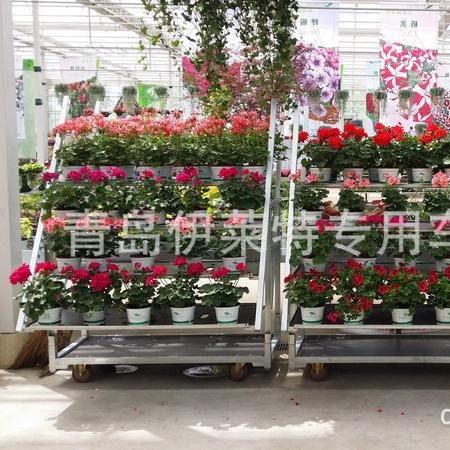 1350*565花园中心新款展示花车工具展示车 花卉台车 鲜花转运架
