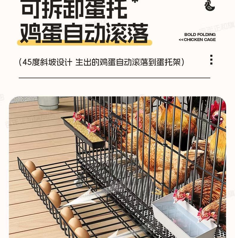 9b5d18c7-008c-41a0-b299-375fa3d8ad1e.jpe