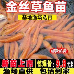 ���_˹����~�絭ˮ�Bֳ���~�绨�������a�~�綡���~���z���~��
