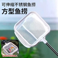 不锈钢可伸缩捞鱼网鱼缸捞小号3d渔捞抄网兜密网热带观赏鱼捞鱼网