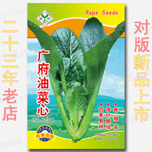 VͲķN s6000 ļ׷N޷ͳ̦G~ķN