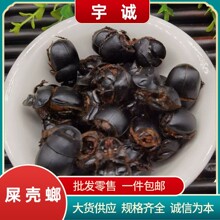 �����܊ʺ�������x�ƼS�x��ˮʺ���뮔����؛