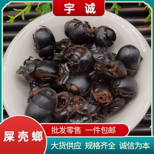 �����܊ʺ�������x�ƼS�x��ˮʺ���뮔����؛
