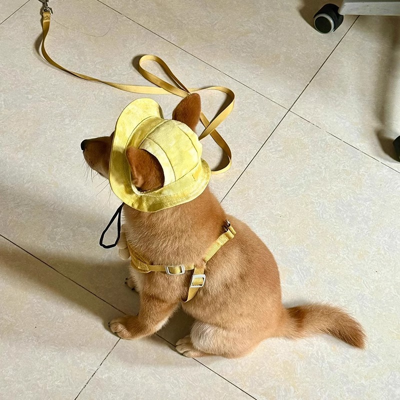 Sombrero de gatito, sombrero de pescador de gato, perro Corgi, foto, perrito fino de verano, protector solar, sombra de verano, antibloqueo de orejas