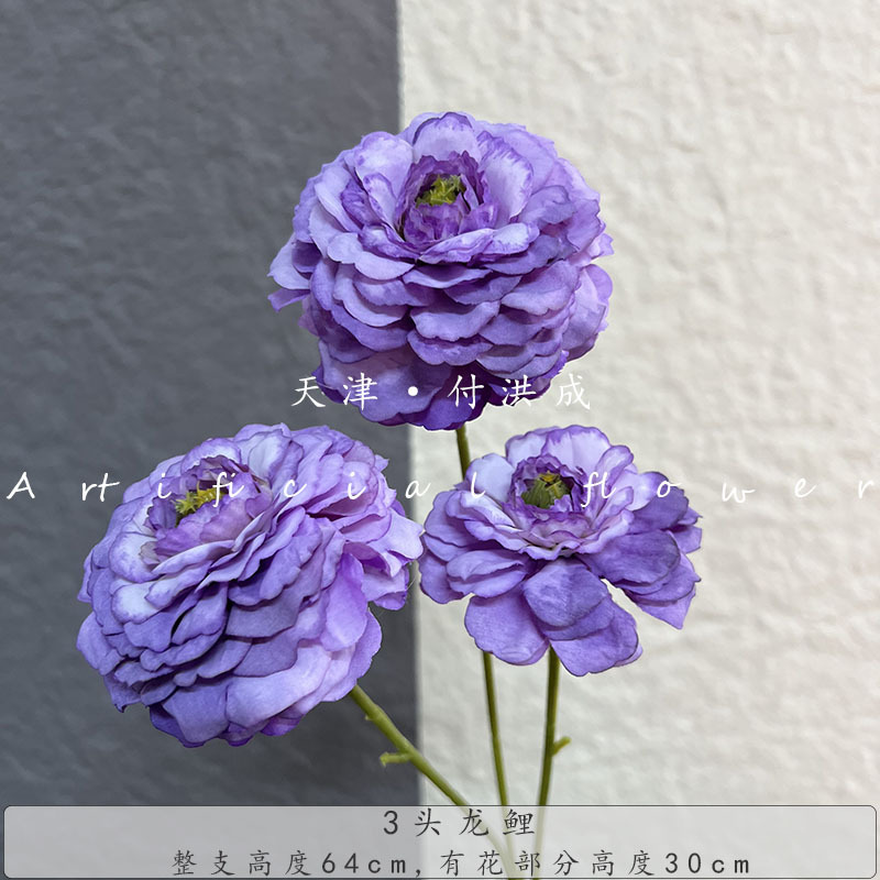 용의 잉어 3개 - 진한 보라색