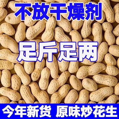 原味炒花生带壳新货批发饱满花生香脆零食净重整箱无干燥剂袋装