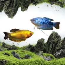 �����~��ˮ�~���^�p�~���B�ͻ�С�~������С����������~���ֻ��~