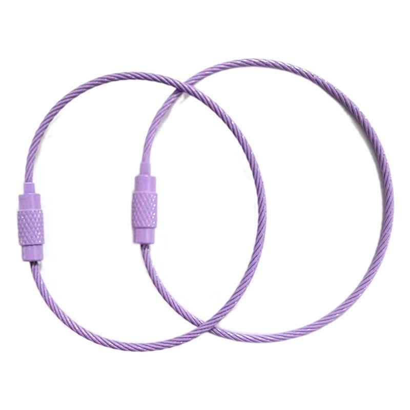 Фабрика Защита окружающей среды краска для выпечки трос кольцо для ключей кольцо провод замок металлический багажная бирка проволочное кольцо Weiye веревка