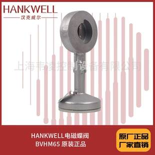 Импульсный электромагнитный дисковый клапан HANKWELL BVHM65