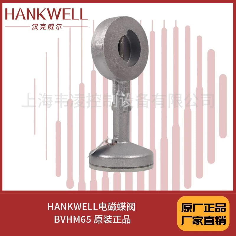 Импульсный электромагнитный дисковый клапан HANKWELL BVHM65