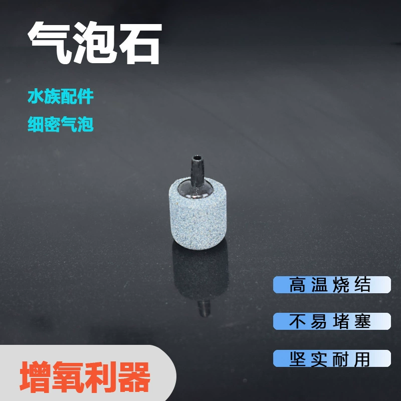 Аквариум с пузырьками мелкого песка с газовой головкой с песком и песчаном с газовой головкой