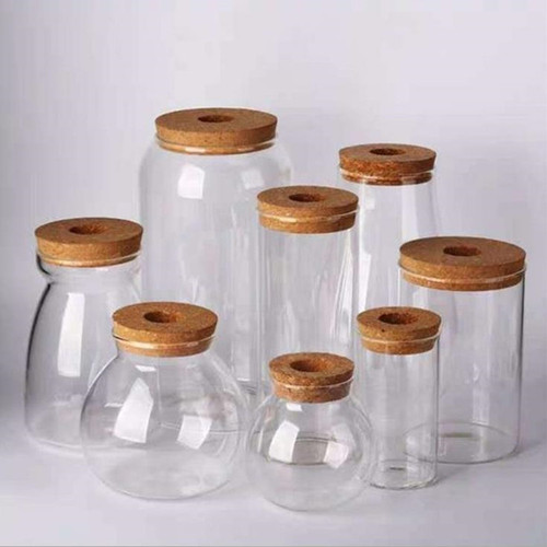 Transparent glass algae micro-landscape wishing bottle cork with multiple styles, glass-sealed hydroponic plant vase