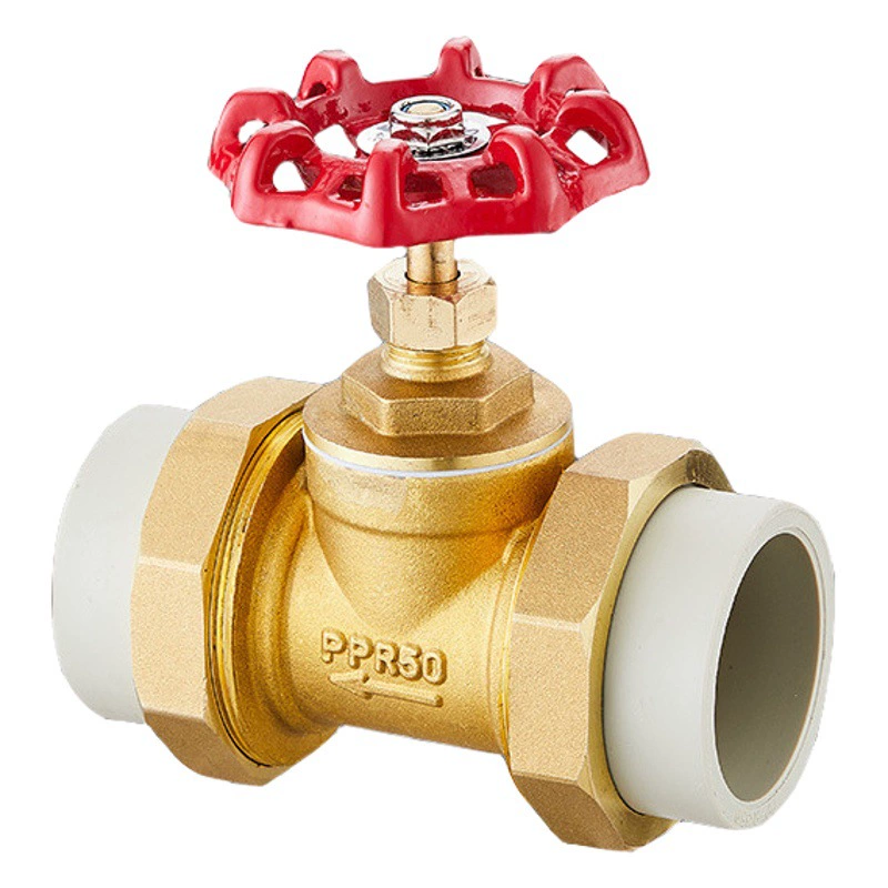 59-1 латунный запорный клапан PPR Задвижка PPR Инженерный специальный запорный клапан Double Union Задвижка Запорная