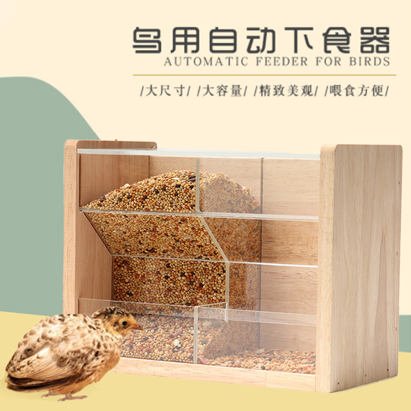 蘆丁雞自動餵食器餵食架食槽鸚鵡鳥用玄鳳下料食盒食盆鳥用品
