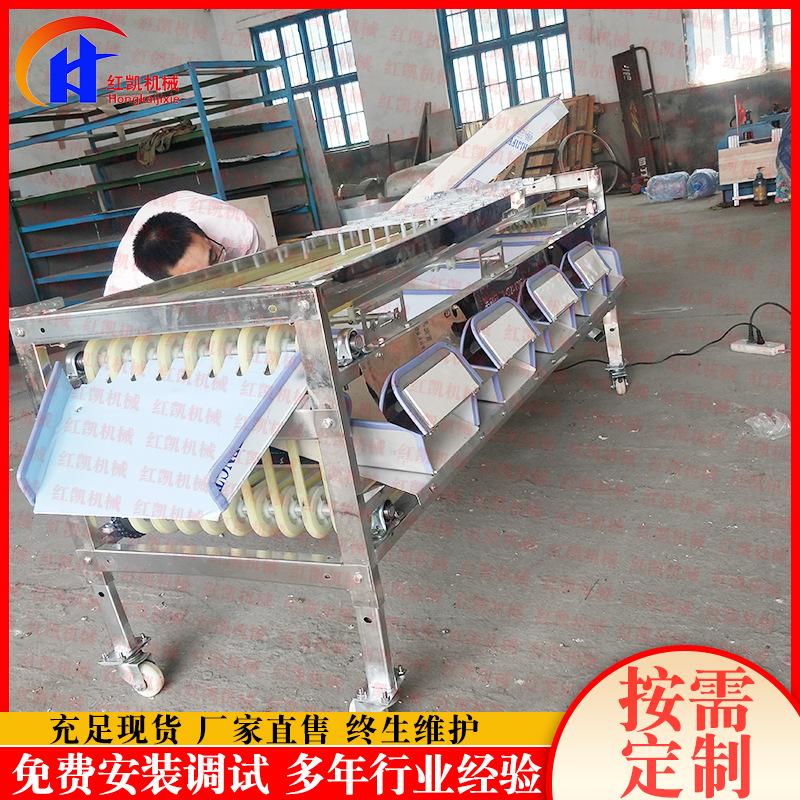 厂家供应轨道式土豆分选机果蔬分选机不伤果大小可调全自动分选机