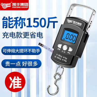 Portable Digital Scale, Portable High-Precision Luggage Scale, Spring Scale, Carry-On Small Scale 22