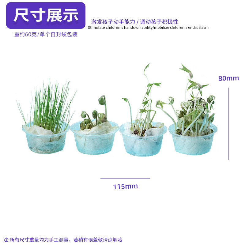 Tecnología pequeña producción semilla germinación Tecnología pequeña producción niños alumnos de Primaria ciencia y educación experimental juguetes interesantes materiales educativos