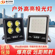 LEDͥԺˮ̽·̹I܇gSͶ300W