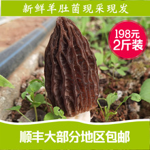 ���r��Ǿ�2��1000g�b��ϸ�ԭ��Ǿ��r؛�������r��ʳһ�����l