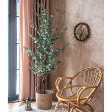 ���Wins�L����Gֲ�����ȼ�������ͼ�ֲ��[���҃ȼҾӾW�t�b�