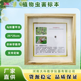 生物教学器材;教学仪器;实验室仪器