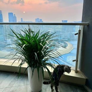 ��횘�����F��Ѫ���҃ȿ͏d�������ԾGֲ���ܳ�ĳȩ������횘�