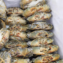 ��з�M��������^����ʾƵ���зڸ��r��Ʒ�|�����ɶ����r