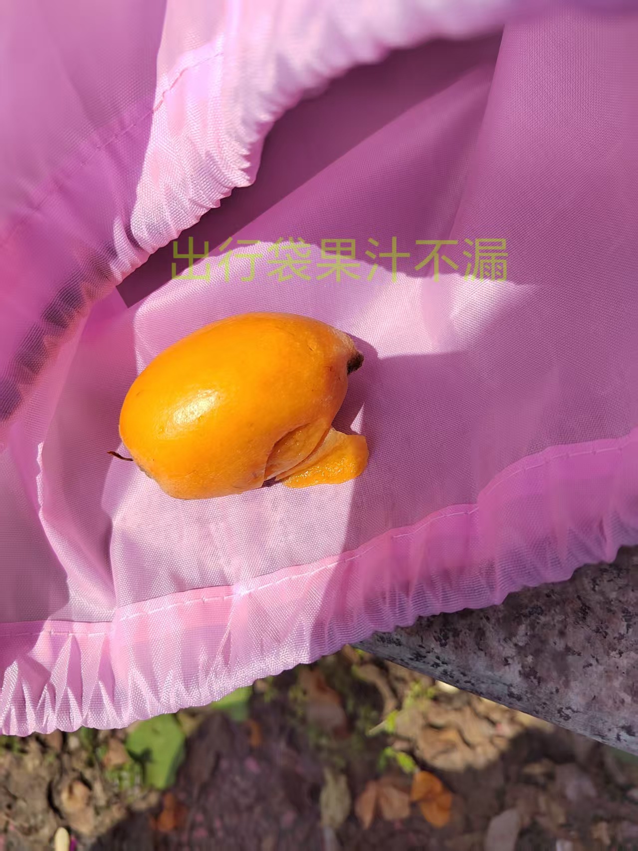 微信图片_20260426101137_25_41
