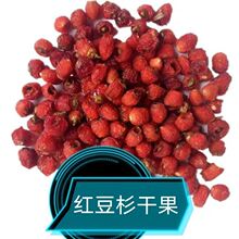 中药材红豆杉果实 南方红豆杉果实干 各种冷背中药材 支一件代发