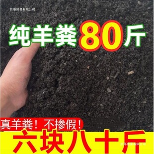 �B����S�l���ЙC�ʻ����߲˹Ϲ����u�S�N���B��ͨ�ø�����S