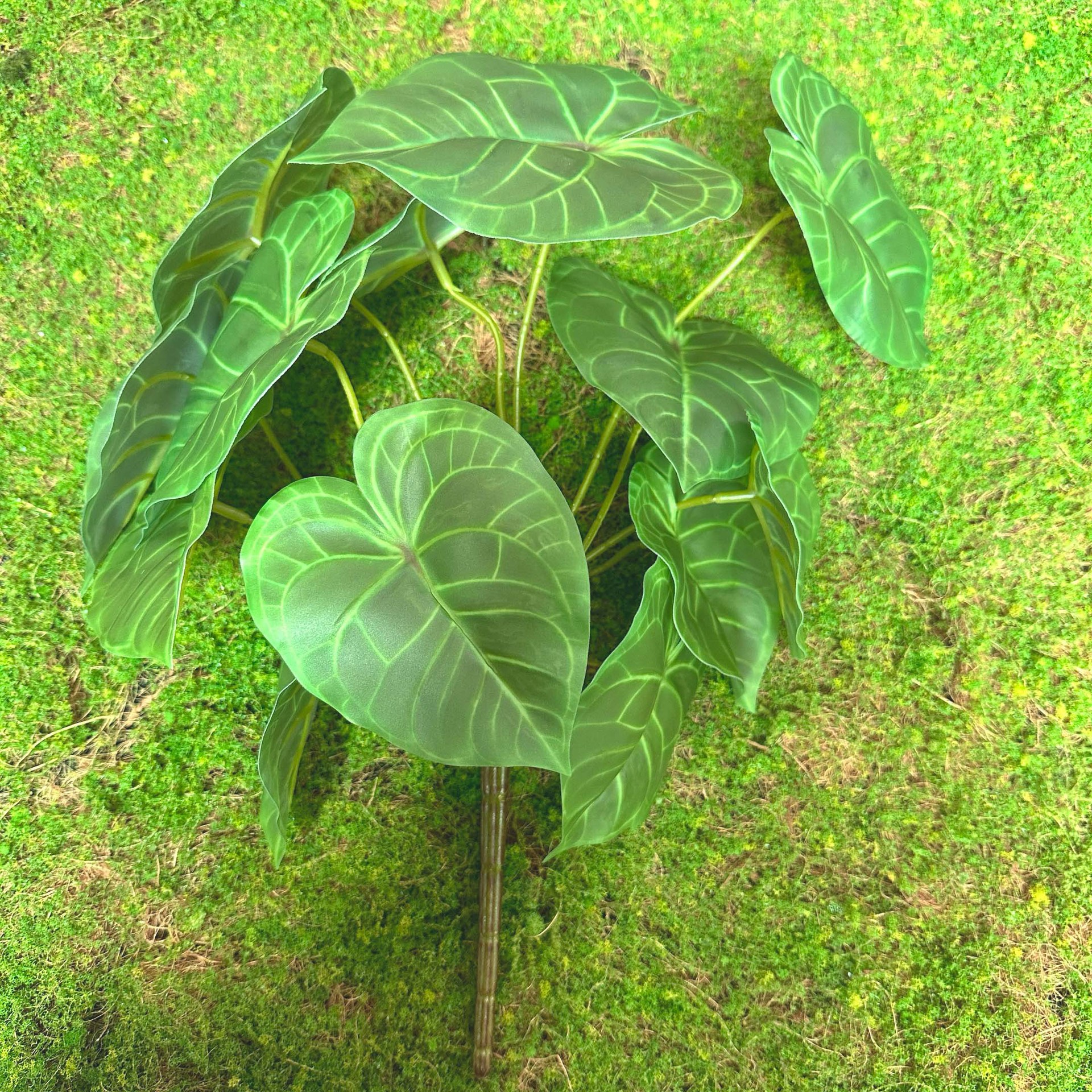 Fairy Cave tortuga hoja sentir arreglo floral hoja material planta esquina ventana belleza paisaje decoración artificial planta verde mango haz