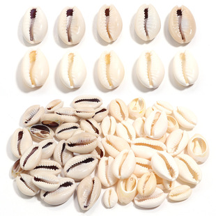 ��Ҏ�t��Ȼؐ���X��ؐ���� ���⺣�Ǻ���ؐ�� diy����Ʒ���