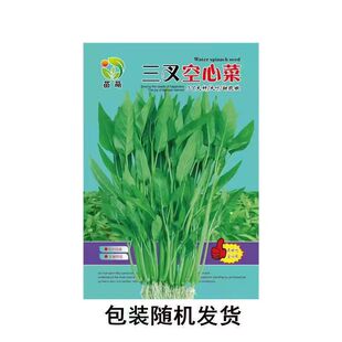 Ĳ/޳ͨ/ļ̨Բˈ@߲˷NС