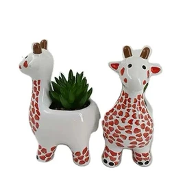 剥蒜器蒜泥器;仙人掌及多肉;装饰花瓶