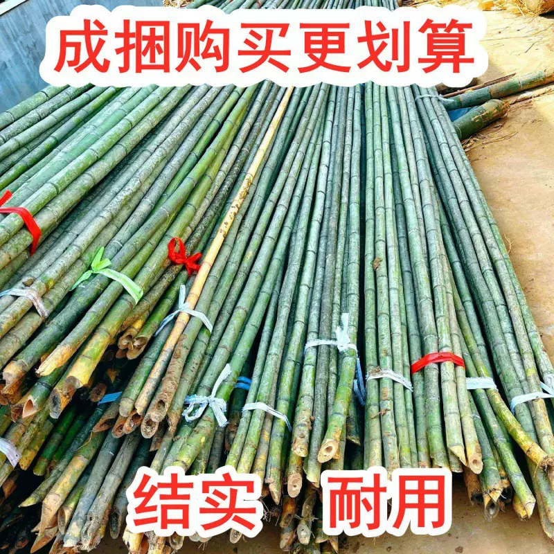 竹条竹竿子搭架菜园竹片竹竿杆细豆角黄瓜西红柿瓜果蔬菜爬藤架彩