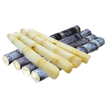 广西黑皮甘蔗新鲜水果甘蔗整件包邮产地直发黑皮甘蔗一件代发