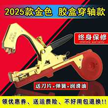 2025�¿����ѽ�֦�C�z�����t���Y���C�}Ů������������������