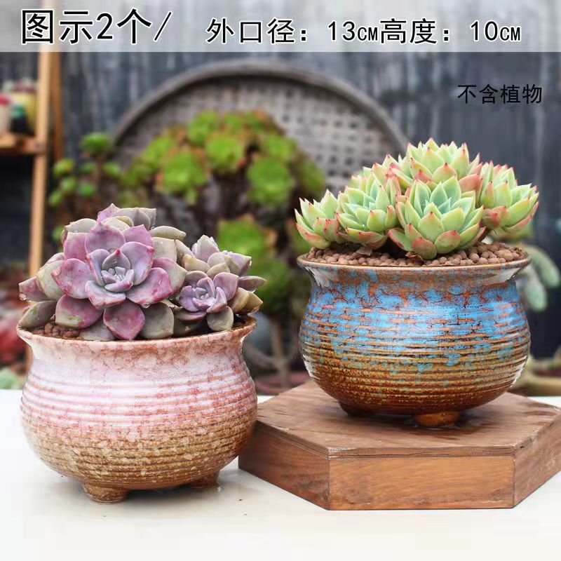 Succulent flower pot Group pot large diameter meat plant free shipping special offer ceramic stoneware large hand painted platter clearance